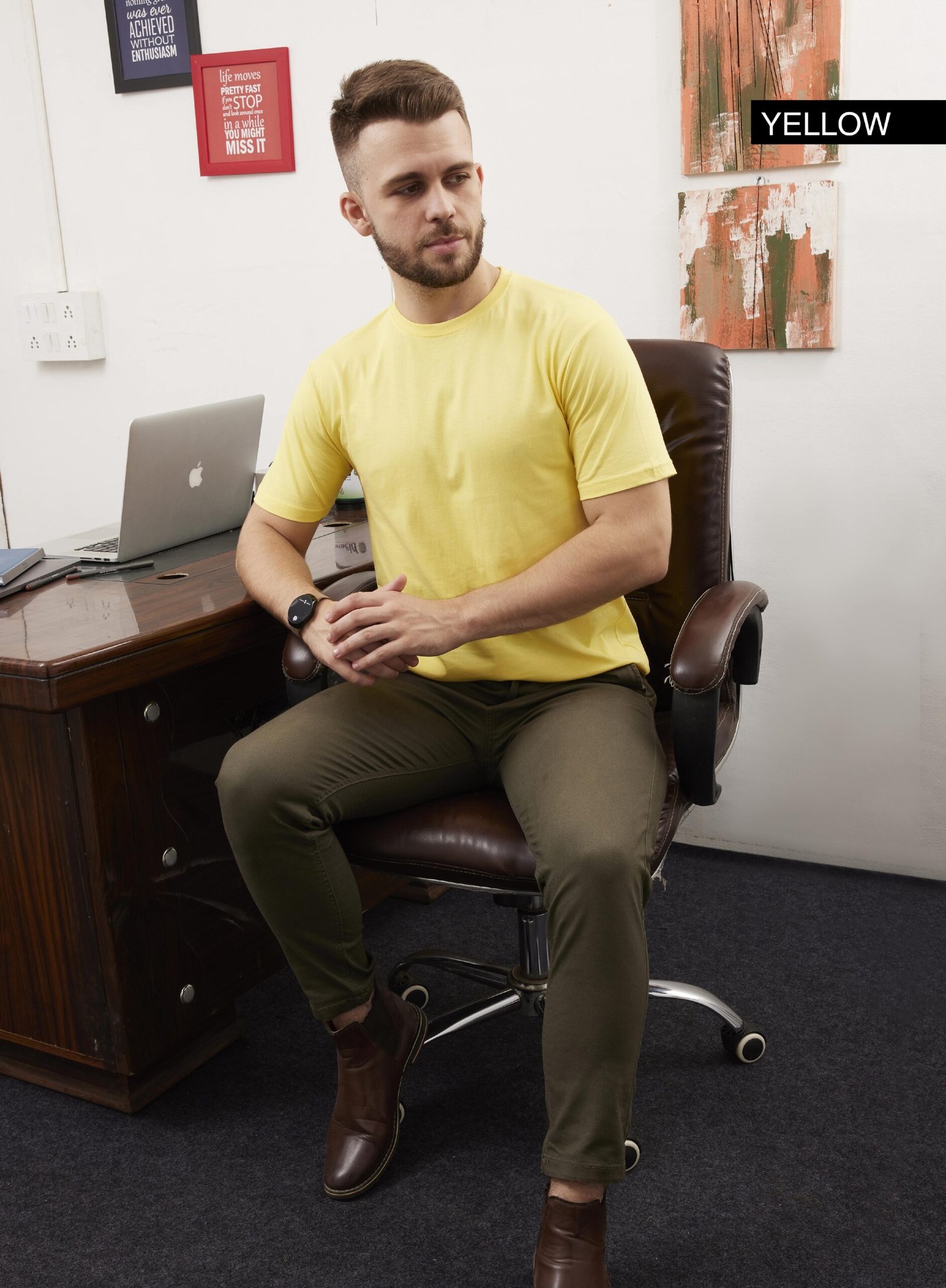 Stagley Premium 100% Cotton T-Shirt - Image 4